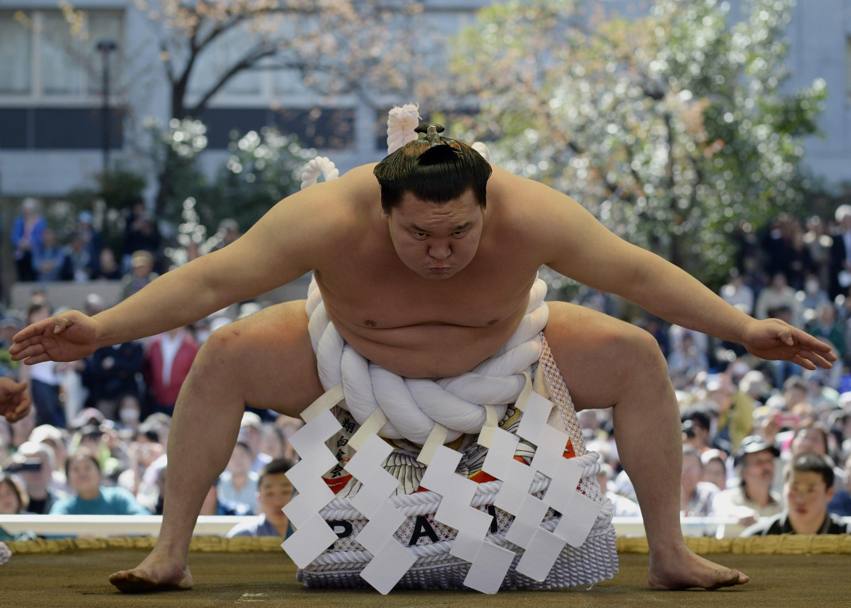 Il campione mongolo di sumo Hakuho (Epa)